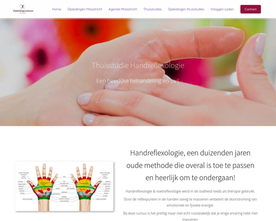 Thuisstudie handreflexologie Logo